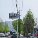 성산패총로 | 경남 겹벚꽃 명소 아기랑 창원 성산패총