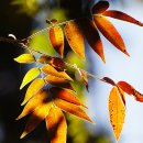 산행길 이미지