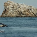 암 진단 후 5년 완전 관해 진단을 받았으나 그래도 불안한 마음 ​ 이미지