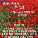 시편45 이미지