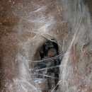 코발트블루 이미지