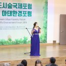 춘천시청대회의실 이미지