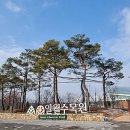 일월꽃식물원 네이버블로그