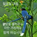 영등포극장 이미지