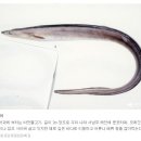 혜진횟집 이미지
