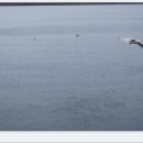 한화리조트 백암온천 이미지