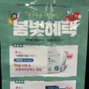 참다한홍삼광주 - 북구 대천로 149 | 참다한홍삼광주