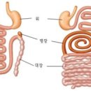 S.O GYM 2호점 이미지