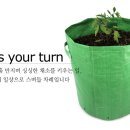 양지로12L Daum카페