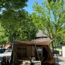 부림펜션 | 청도 나만 알고싶은 오토캠핑장 비밀의정원 구 부림펜션 정성 후기 계곡3번 사이트 후기