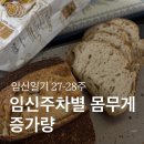 대둔산농장 | [임신일기 27-28주차] 임신 주차별 적정 몸무게 증가량, 대둔산 드라이브