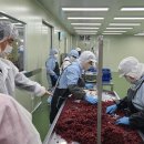 과일백화점 이미지