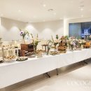 닥터코코의원 이미지