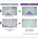 프라임성형외과 - 안산시 단원구 고잔1길 16 | 프라임성형외과