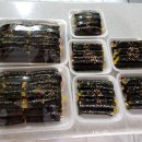 천사마약꼬마김밥