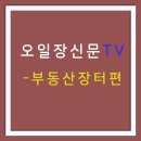 티브이부동산장터