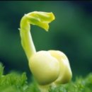 중년과새싹 이미지