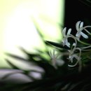 임란전적비 내 이미지