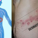 경희푸른숲한의원 이미지