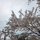 진정국밥 | '26.4월#2｜한 달 묵힌 4월 포토덤프, 짱깨 참사, 그리고 부산까지