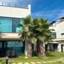 오롯이바다 이미지