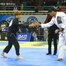 실사박사