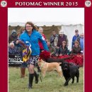 다이아스 이미지