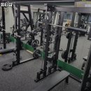 가오짐 피티샵 이미지