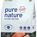 오암동물병원 이미지