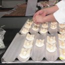 선인주식회사 이미지