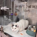 으뜸원동물병원 이미지