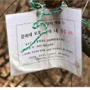 지장사지 이미지