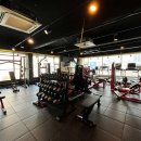 팀엑스핏 개봉 이미지