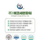 에코세븐
