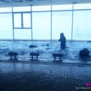 아쿠아팰리스 이미지