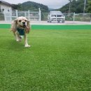 커멍커멍 이미지