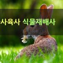신고3 태양광발전소 이미지