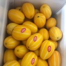 은애농장 이미지