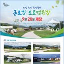 금호강오토캠핑장 이미지