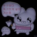 비스킷워크숍