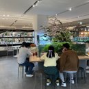 [경기/수원] 광교 호수공원 갤러리아 아쿠아가든카페