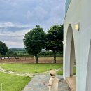 파수골목장3 | 제주 아이랑 가볼만한 곳 서귀포 목장카페 밭디 방문 후기