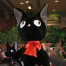 네로는 검은고양이 이미지