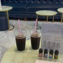 (주)중부 | 푸꾸옥여행 북부 럭스스파, 남부 블랙스파, 중부 오션스파 내돈내산 후기