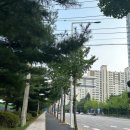 동천역유타워공인중개사사무소 | 2023.08/14 경기남부 직장인 자취 장소 임장 (사당 허위매물, 오리&amp; 동천)
