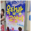 옥탑방 고양이 이미지