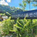 시내들 네이버블로그
