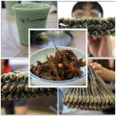 남도먹거리