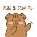 뚜레쥬르 대구진천역점 - 7226 | 뚜레쥬르 대구진천역점