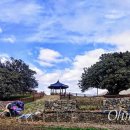 동백환경 이미지